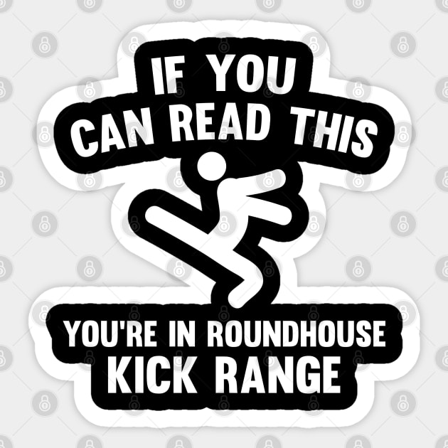 Roundhouse Kick Range Sticker by AmazingVision